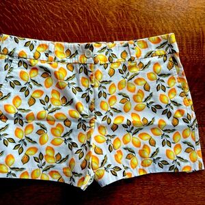 LOFT Yellow and White Fruity Lemon 4 inch Shorts New With Tags size 12